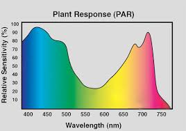 Led grow light technology is relatively new. How To Grow Orchids Indoors With Full Spectrum Led Grow Lights Super Grow Led