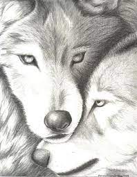 Pin On Wolves