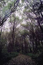 Grayland ⇻ Hoquiam, WA