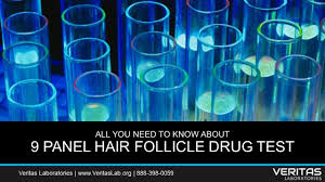 9 panel hair follicle test