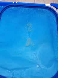 probleme particules blanches dans petite piscine 7 messages forumpiscine com
