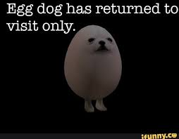 Egg Dog Has Returned To Ifunny Funny Animal Memes Memes Egg Meme