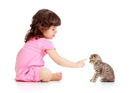 Meskipun memelihara hewan peliharaan sangat menyenangkan, mereka tidak mudah dirawat. Mengenalkan Si Kecil Pada Hewan Peliharaan My Baby