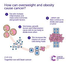 For many carers, a cancer diagnosis affects the established roles they the impact of cancer on a relationship often depends on what your relationship was like before the cancer diagnosis. Does Obesity Cause Cancer Cancer Research Uk
