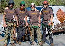 May 24, 2021 · james hodges passed away 2021 in kenna, west virginia. Benton County Tree Service Tree Pruning Removal Raines Tree Care