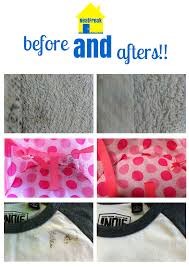 Add Subtitle Text 2 Png 1588 2246 Mold Remover Household Cleaning Tips Cleaning Household