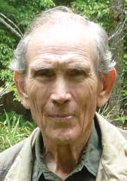 Traffic stop leads to arrests