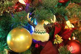 When do the christmas decorations go up at disney world. Unwrap The Magic Of The Holidays On A Special Tour At Walt Disney World Resort Disney Parks Blog