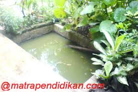 Kolam ikan minimalis di rumah bisa dijadikan salah satu cara untuk melepas kepenatan. Membuat Kolam Ikan Mini Samping Rumah Matra Pendidikan