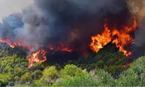 Jun 03, 2021 · σημαντικές αλλαγές θα ισχύσουν από τη νέα χρονιά για τον ενφια, καθώς θα γίνει νωρίτερα η πληρωμή του, ενώ θα αυξηθούν και οι δόσεις. Zi48khrldf1anm