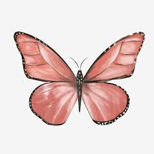 32,000+ vectors, stock photos & psd files. Red Colored Butterfly Black Wings Animal Butterfly Butterfly Decoration Png And Ps Butterfly Illustration Black Background Photography Red And Black Background