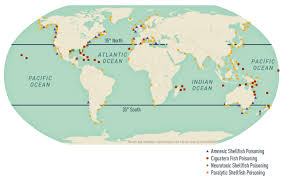 Image result for Amnesic Shellfish Poisoning