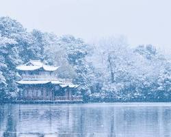 西湖冬景的圖片