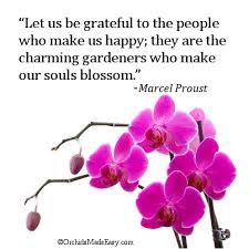 Orchid Quote Our Souls Blossom Orchidsmadeeasy Com Orchid Flower Orchid Wallpaper Flower Images