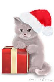 Click on google drive logo for free download: Christmas Cat Royalty Free Stock Image Image 15923046 Christmas Cats Cat Christmas Cards Christmas Kitten