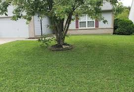 3 options for custom lawn care treatment programs. Indianapolis Lawn Care Mowing Services Lawn Love Of Indianapolis