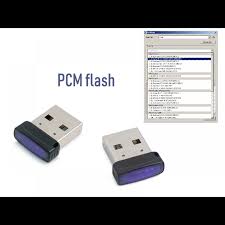 Gm 'locks' their pcm's when they program them. Pcmflash
