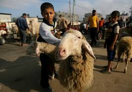 Meskipun, praktik kurban sebenarnya sudah dilaksanakan putra nabi adam yakni qabil dan habil. Idul Adha 2017 Tradisi Unik Hari Raya Kurban Di Berbagai Negara Festival Sapi Di Turki Paling Meriah Okezone Travel