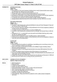 Browse Our Example Of Surveyors Report Template For Free Good Resume Examples Manager Resume Nursing Resume