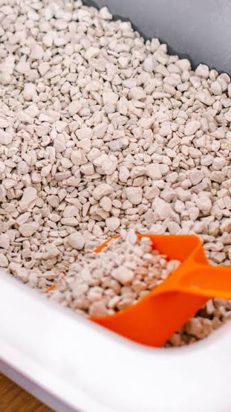 PIEDRA DIATOMEA SUELTA XKG