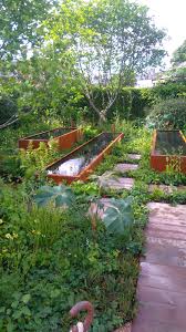 Pin By Jason Rathe On Water Tank Landscape Design Urban Garden Design Front Garden Design