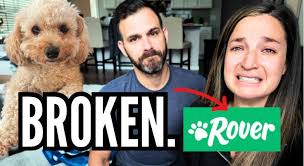 This is the hardest, most devastating news we've experienced as a couple.  We used Rover.com and now our young, happy healthy puppy is dead. For those  have been following along, you know