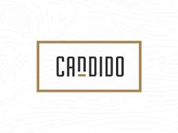 Candido Typo Design Logo Inspiration Typography Letters