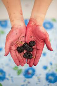 Removing Fruit And Vegetable Stains On Skin Thriftyfun
