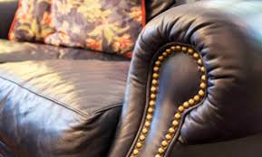 Upholstery cleaning, pet urine removal treatment, a plus carpet care. Top 10 Best Upholstery Cleaners In Portland Or Angi Angie S List