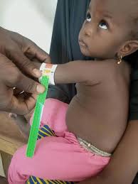 DOCTORS OF THE WORLD USA INC