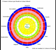 Droplet 3 check crypton style: Clematis Brocade Viticella Group