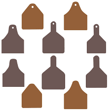 Cow Ear Tags Svg Svg Dxf Png Eps Vector Etsy In 2020 Cow Ears Ear Tag Cow