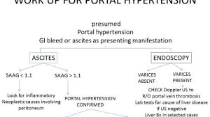 Clinical Pain Management Resources Information Case