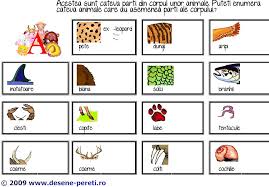 Planificarea o gasiti la pagina cu. Animale Salbatice Cu Alex La Gradinita