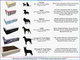 Siberian Husky Weight Chart Rebellions Siberian Husky