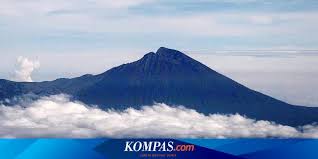 Keunikan trusmadi terletak pada ragam faunanya. 6 Fakta Gunung Rinjani Yang Mungkin Belum Kamu Tahu Halaman All Kompas Com