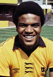 Wolf Cubs Who Made Up An Odd Pack