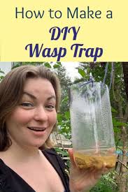 Homemade Wasp Trap