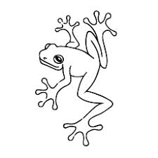 Maybe you would like to learn more about one of these? 25 Delightful Frog Coloring Pages For Your Little Ones