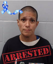 Hays County Crime Stoppers, Inc.