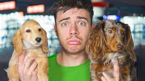 Afscheid Nemen Van Ollie En Moos!