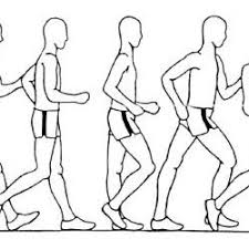 You can win judged races at the local level and, if. Pdf Biomechanical Analysis Of Elite Race Walking