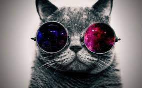 Here are only the best cool pc wallpapers. Free Cool Wallpapers Poto Butut