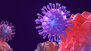 Norfolk va is rich with things to do. Second Person In Peninsula Health District Dies From Covid 19 13newsnow Com