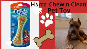 Buy hartz chew n' clean assorted colors dental duo toy and edible dog chew (medium/small (set of 3)) online at an affordable price. Hartz Chew N Clean Dog Dental Toy Youtube