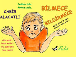Bilmeceler