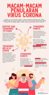 B117 tidak memiliki tingkat kematian atau tingkat gejala yang lebih tinggi dan kisaran gejala tampaknya sama dengan versi virus yang lebih umum yang telah beredar sejak. Mutasi Virus Corona B 1 1 7 Sudah Masuk Indonesia Ini Informasi Lengkapnya Halaman All Kompas Com