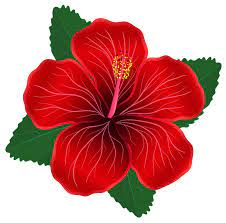 Red Flower Png Clipart Image Gallery Yopriceville High Quality Extraordinary Clipart De Flores Arte Flor Flores Pintadas