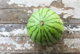It is a great source of vitamins a, b6. Watermelon Cubes Spotlight On Watermelon