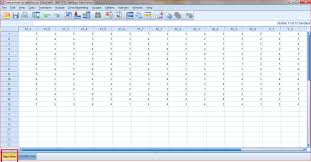 Uji Validitas Dan Realibilitas Data Primer Menggunakan Ibm Spss Statistics V1 9 Laboratorium Ict Terpadu Universitas Budi Luhur